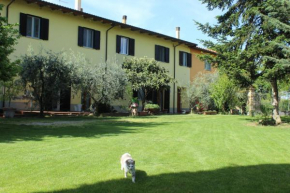 Veramaro,accogliente appartamento in campagna Arezzo